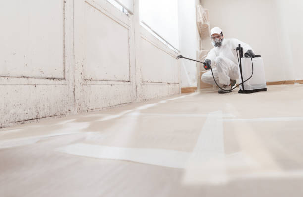 24/7 Emergency Mold Remediation experts in Milton, MA