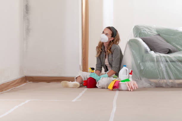 Reliable Mold Remediation contractor in Milton, MA by WQB Mold Removal